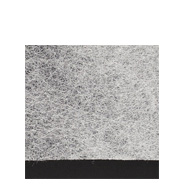 HOL-010